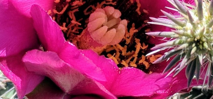 LFSA Spring 2018 Magazine now available! LFSA Spring 2018 Magazine now available!